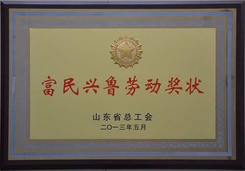 2013年8月，公司獲得山東省總工會授予“富民興魯勞動獎狀”稱號。