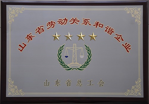 公司獲得“山東省勞動關系和諧企業”